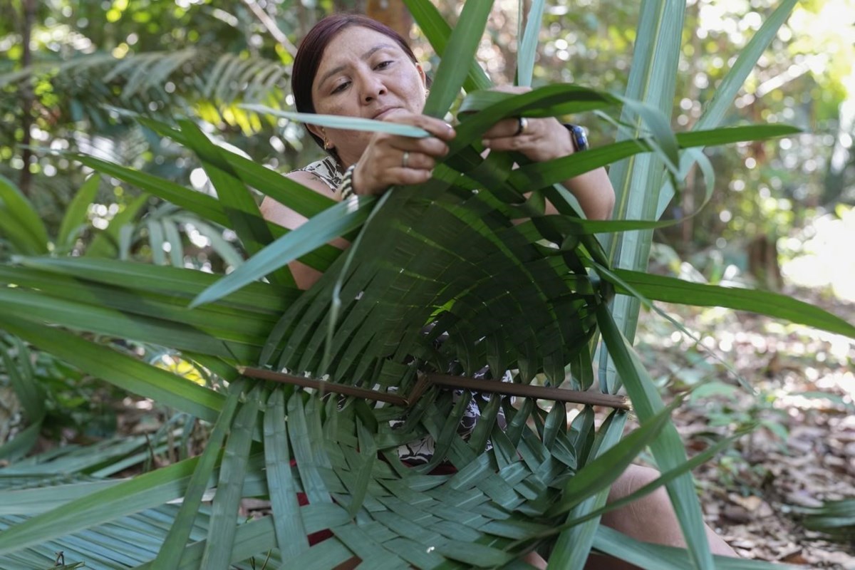 In The Amazon Indigenous Women Bring A Tiny Tribe Back From The Brink