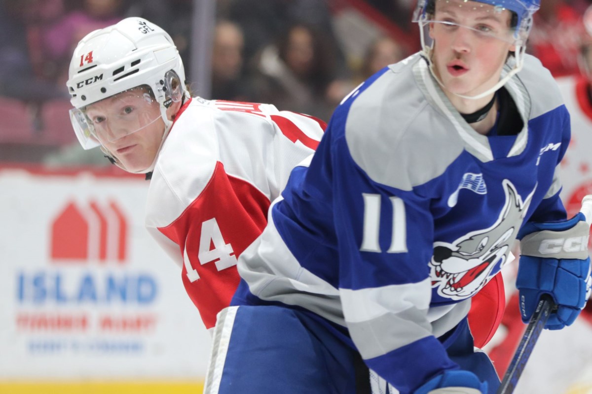 Greyhounds Limp Home From Poor Road Effort Sault Ste Marie News