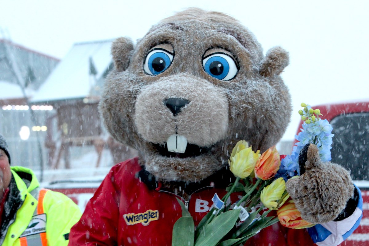 Groundhog Day prediction 2025 in Alberta brings relief Lakeland News