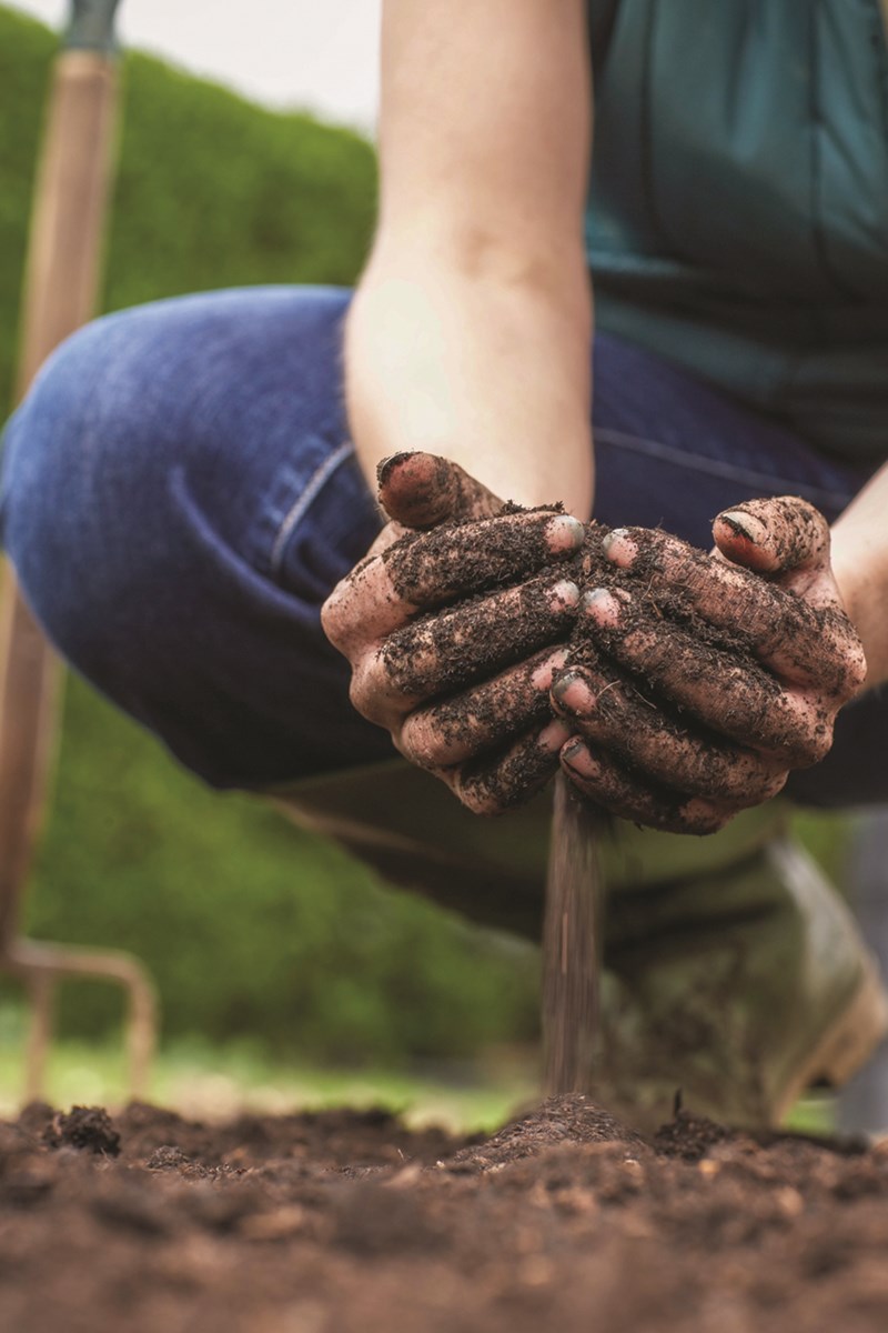 how-to-prepare-soil-for-spring-planting-cochraneeagle-ca