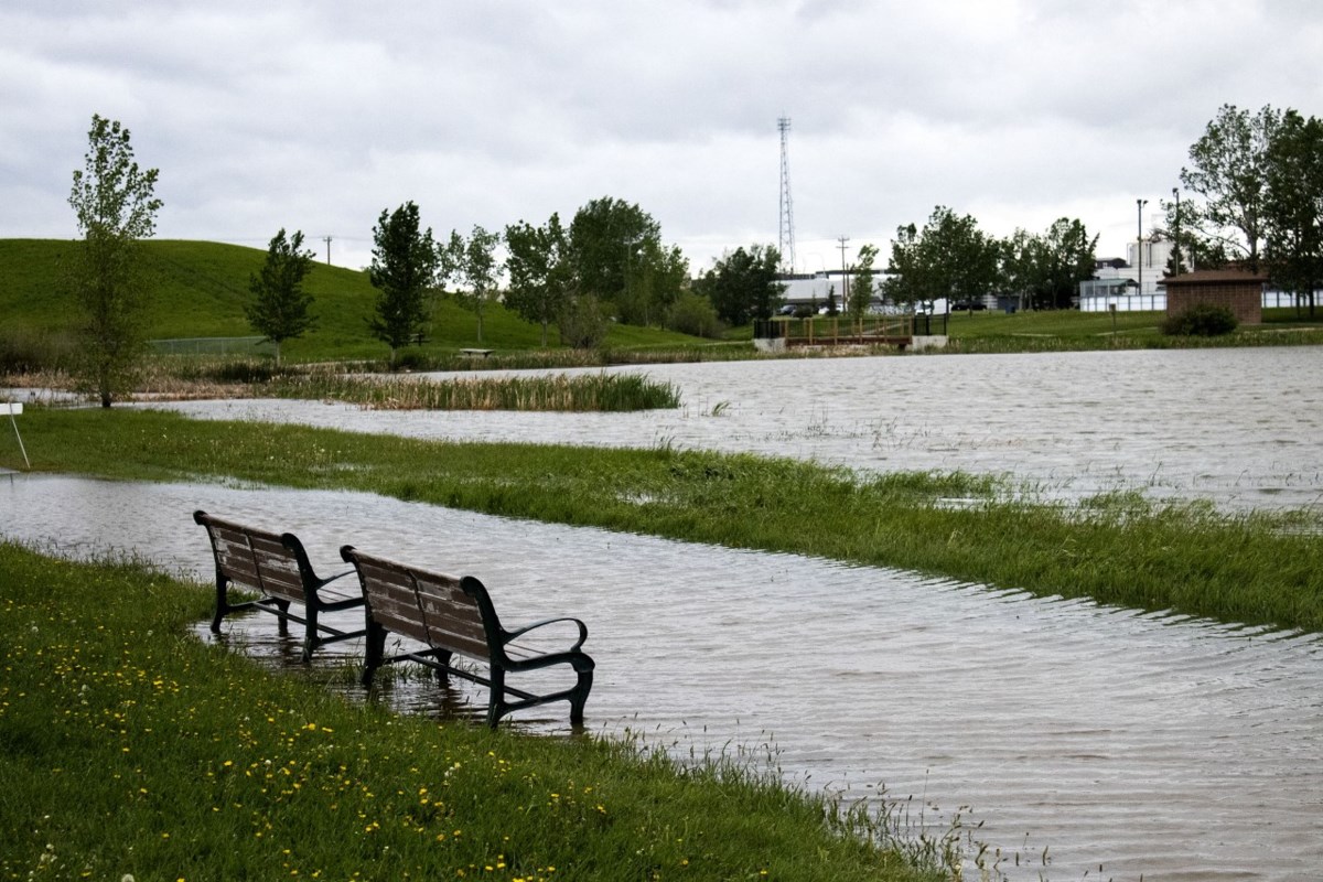 East Lake experiencing pathway flooding following heavy rainfall ...