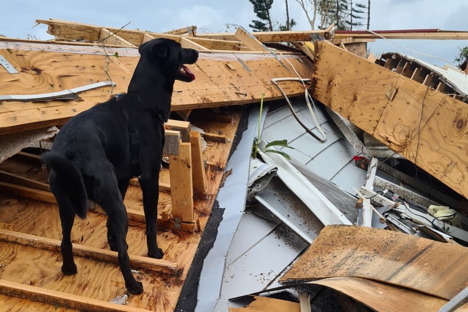 Maria Ilioviciu from Airdrie based Search and Rescue Dog Association of Canada (SARDAC) and her dog Cabella searched for people following Hurricane Milton in Florida on Oct. 9, 2024.