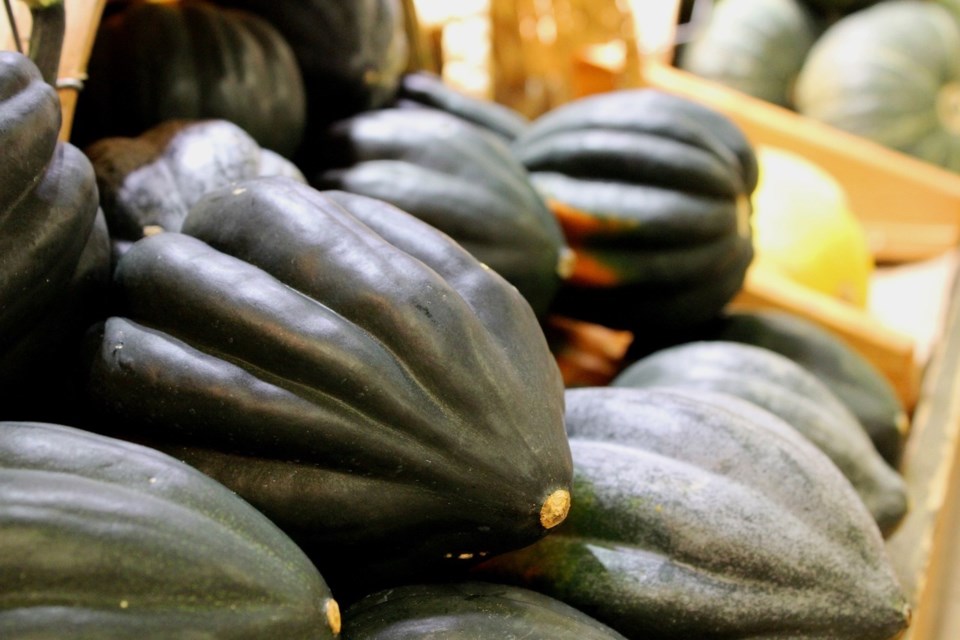 acorn-squash