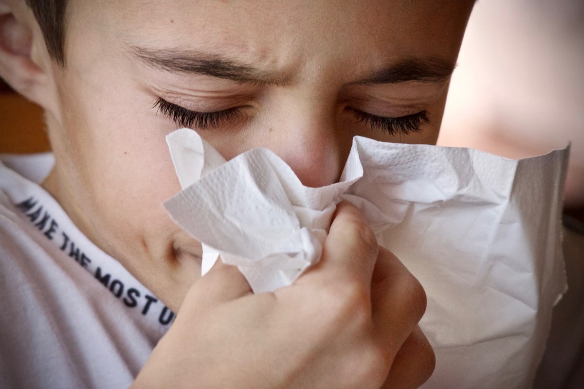 Influenza Cases at Seasonal Levels Ahead of Holidays, but Bird Flu Raising Concerns