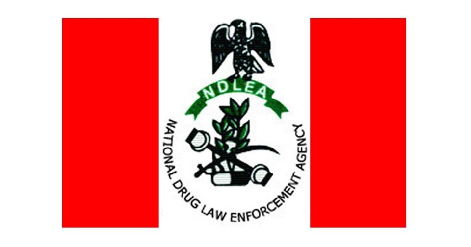 NDLEA Recruitment: List of successful candidates released ...