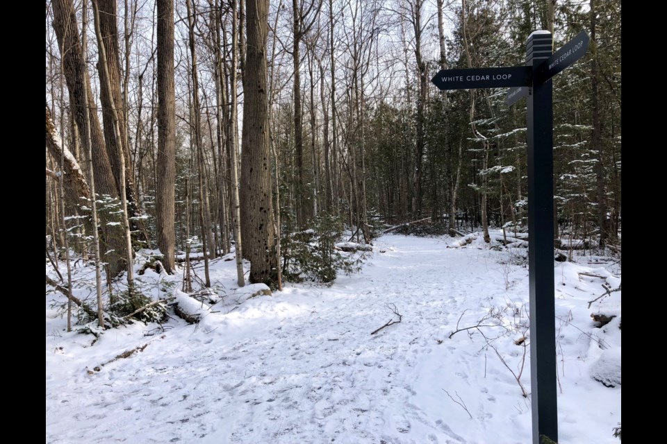 The rails at Friday Harbour in Innisfil allows the chance to view the development and capture nature at the same time.