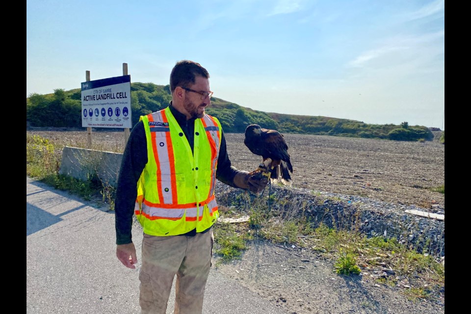 Robin Churchill is vice-president of Predator Bird Services, which employs about 50 people and 150 birds to ward off gulls and other nuisance birds at power and ethanol plants, dumps — including most in this area — and airports across North America.