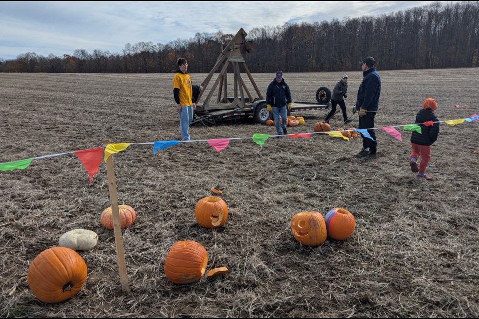 Lining up the pumpkins at Sunday's Pumpkinpalooza north of Barrie.