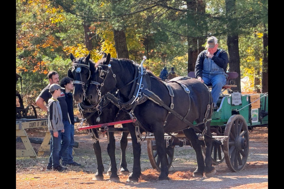 The Simcoe County Museum's Last Blast Steam Up event showcased vintage equipment operating and on display for the last time before winter.