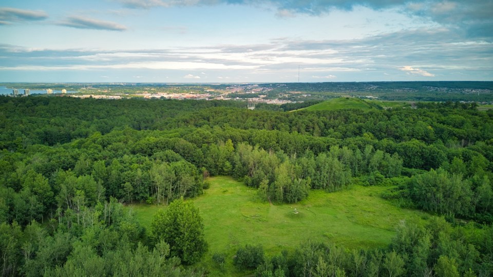 2024-08-19-barrie-sandy-hallow-disc-golf-course