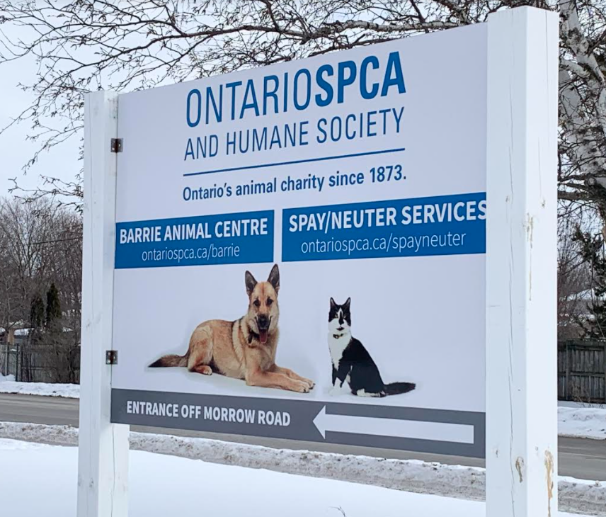 2021-02-09 OSPCA Barrie RB