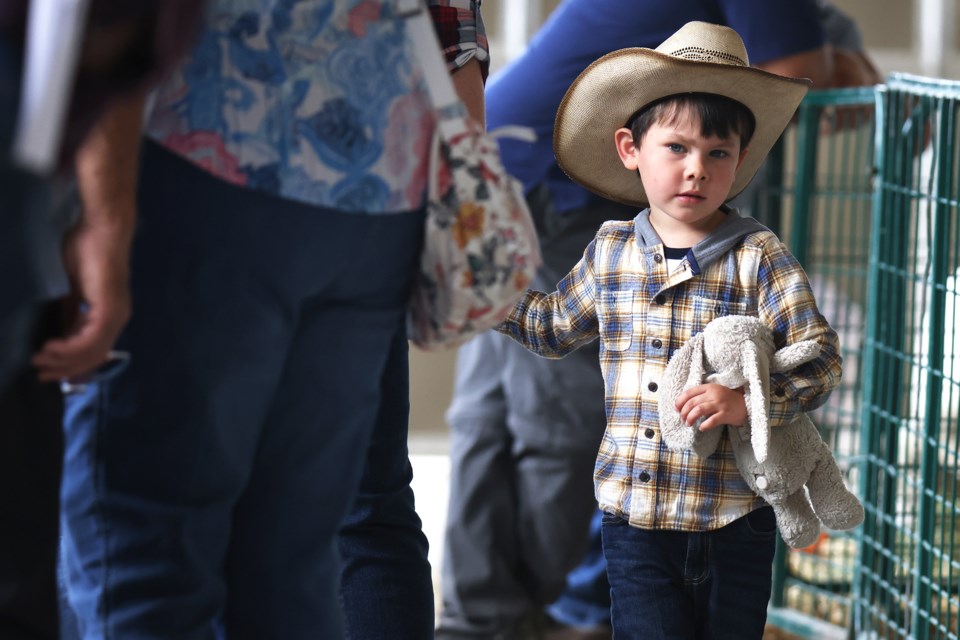 A young cowboy makes his way through the crowd at the 170th Barrie Fair at the Essa Agriplex near Thornton this weekend.