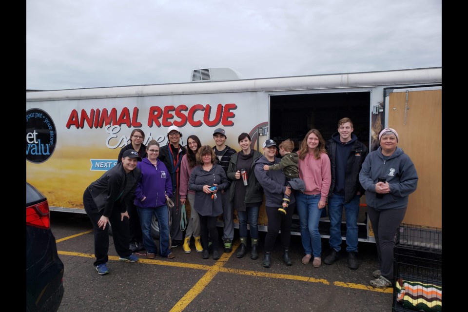 Heading from Thunder Bay, 20 dogs and puppies aboard the North Bay and District Humane Society’s Pet Valu Animal Rescue Express are making their way south where there is a greater demand for adoptable pets. Supplied photo