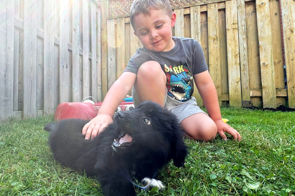 Four-year-old Ryan Mancinelli, who recently raised money selling lemonade on weekends last month in an effort to buy his first dog, and to also help a local animal shelter, is a proud owner of a soft and furry little puppy as of last Friday.