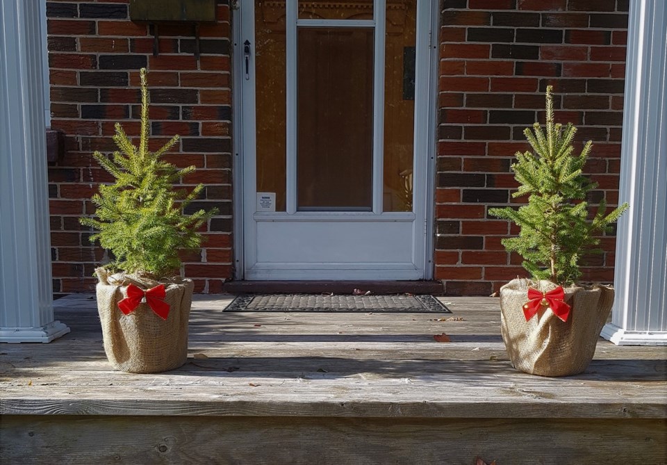 2020-11-13 Living Green porch trees