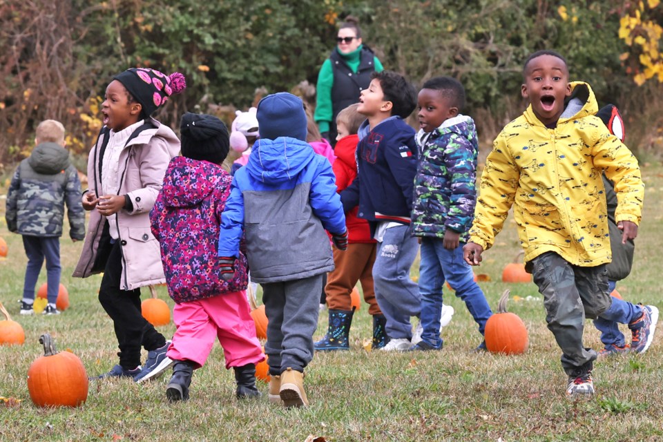 On Oct. 24, after hearing a story earlier in the week about a magical pumpkin patch that appears when children create magic through pumpkin-themed artwork, Grade 7 and 8 students at Monsignor Clair Catholic School in Barrie secretly placed pumpkins throughout the yard, setting the stage for younger students to explore the festive pumpkin patch.