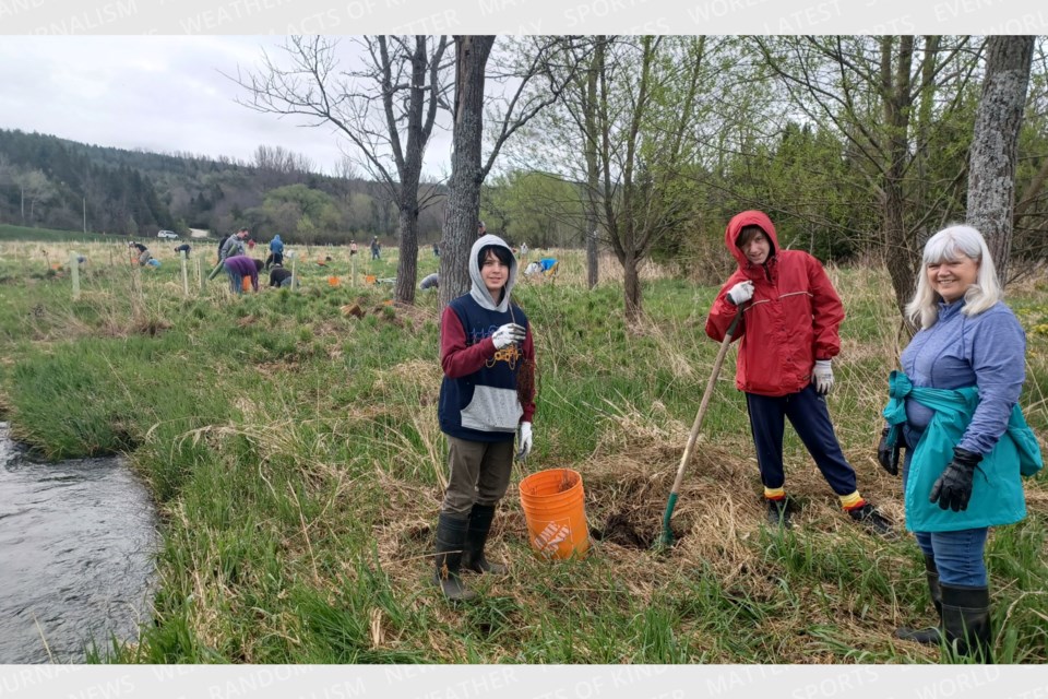 Volunteers plant trees along a river's edge.