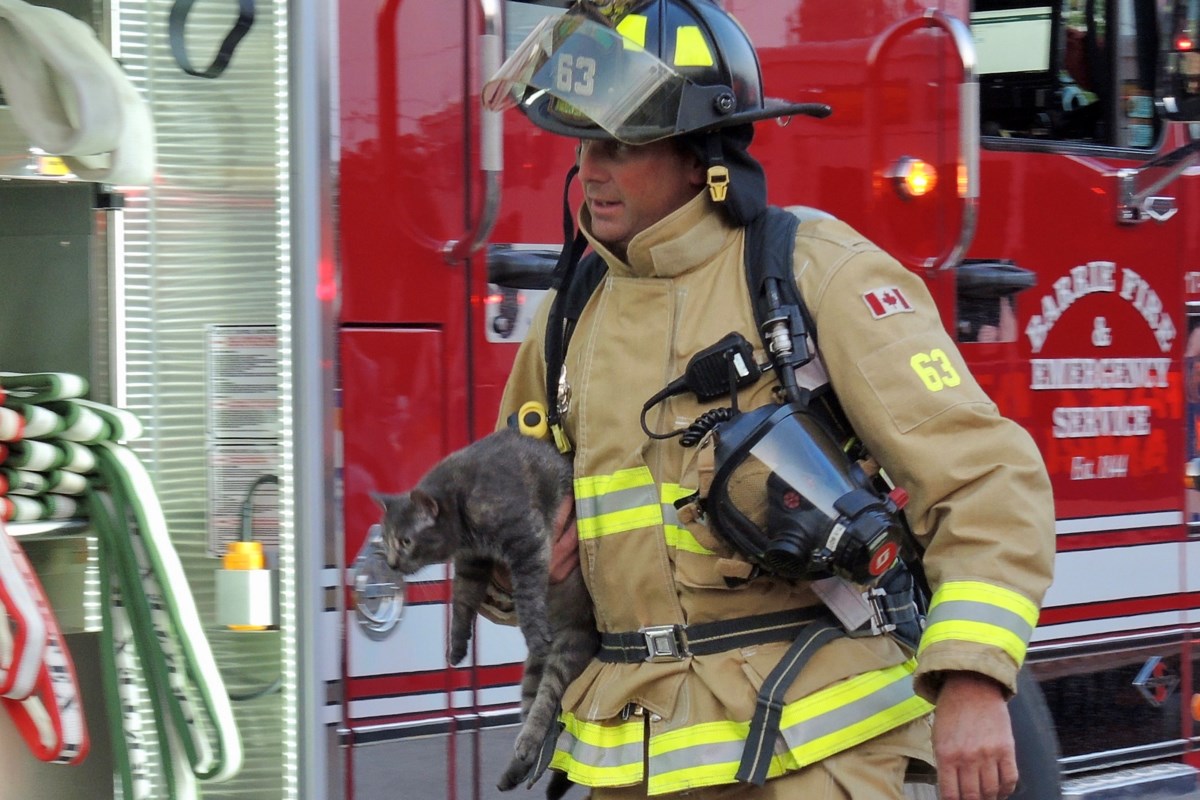 No injuries, pets rescued in Edgehill highrise fire - Barrie News