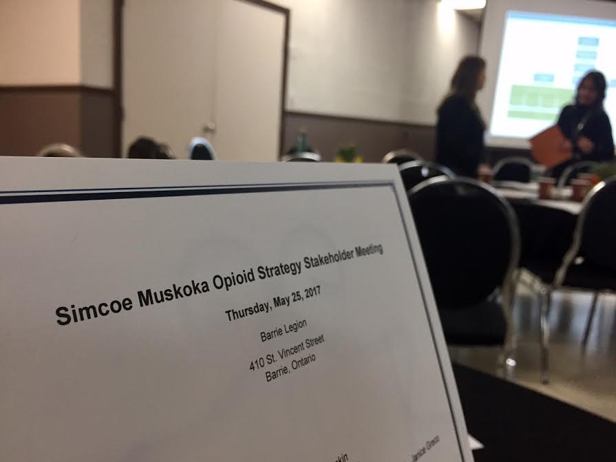 Opioids meeting 2