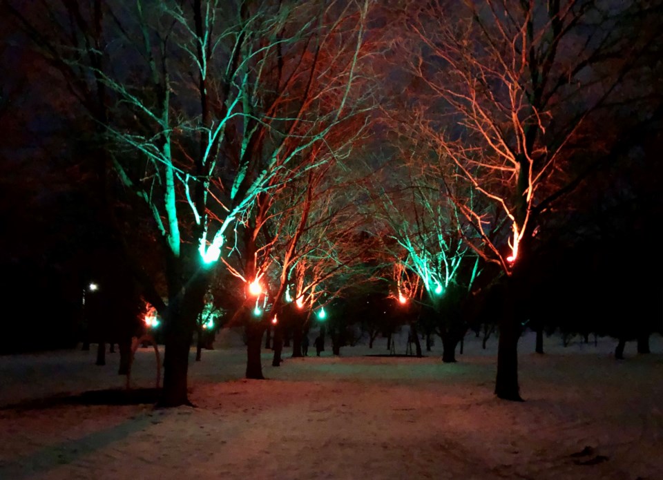 sunnidale park winter lights marg