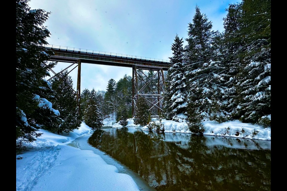 Reader Erin Walker submitted this photo from a recent hike on Simcoe County trails.