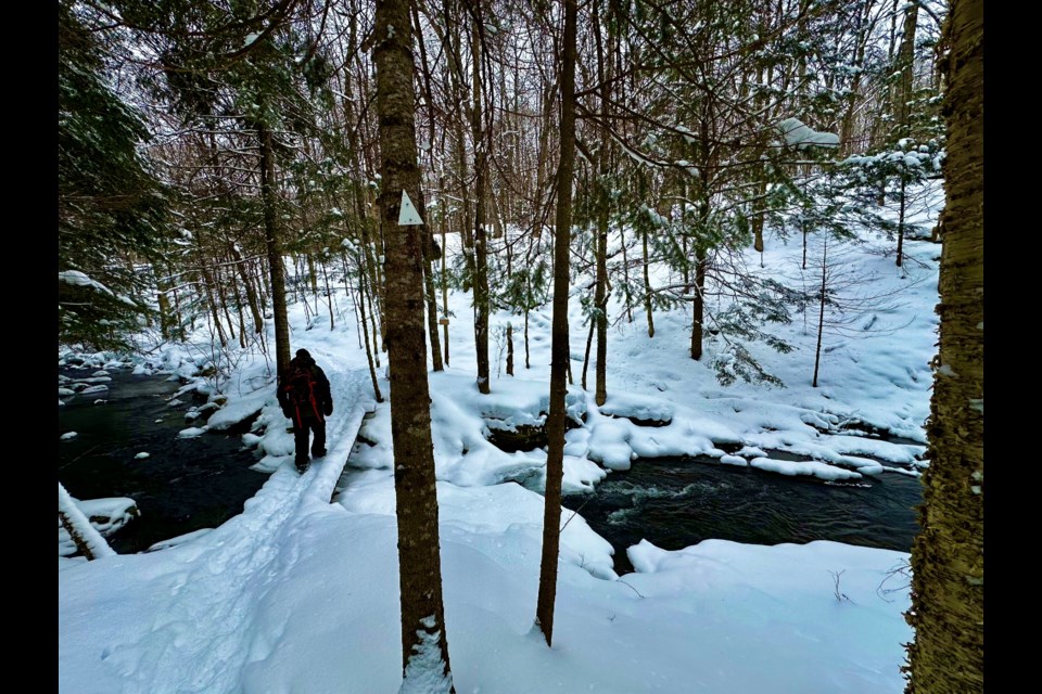 Reader Erin Walker submitted this photo from a recent hike on trails north of Barrie after a fresh snowfall.