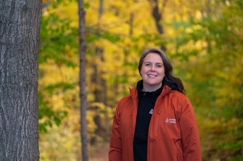 Forests Ontario grows into Forests Canada - Midland News