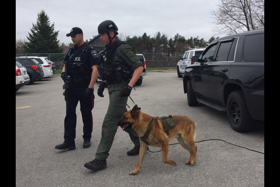 Police dog Serge on scene on a suspicious incident call on Toronto Street.
Sue Sgambati/BarrieToday