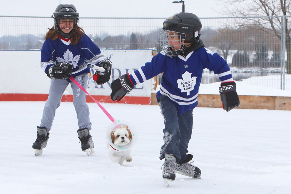 Vivian Colby and her dog Lilo chase Gabriel Colby on the outdoor rink in Centennial Park in Barrie as it opened for the first time on Saturday, Dec. 23, 2017.  Kevin Lamb for BarrieToday