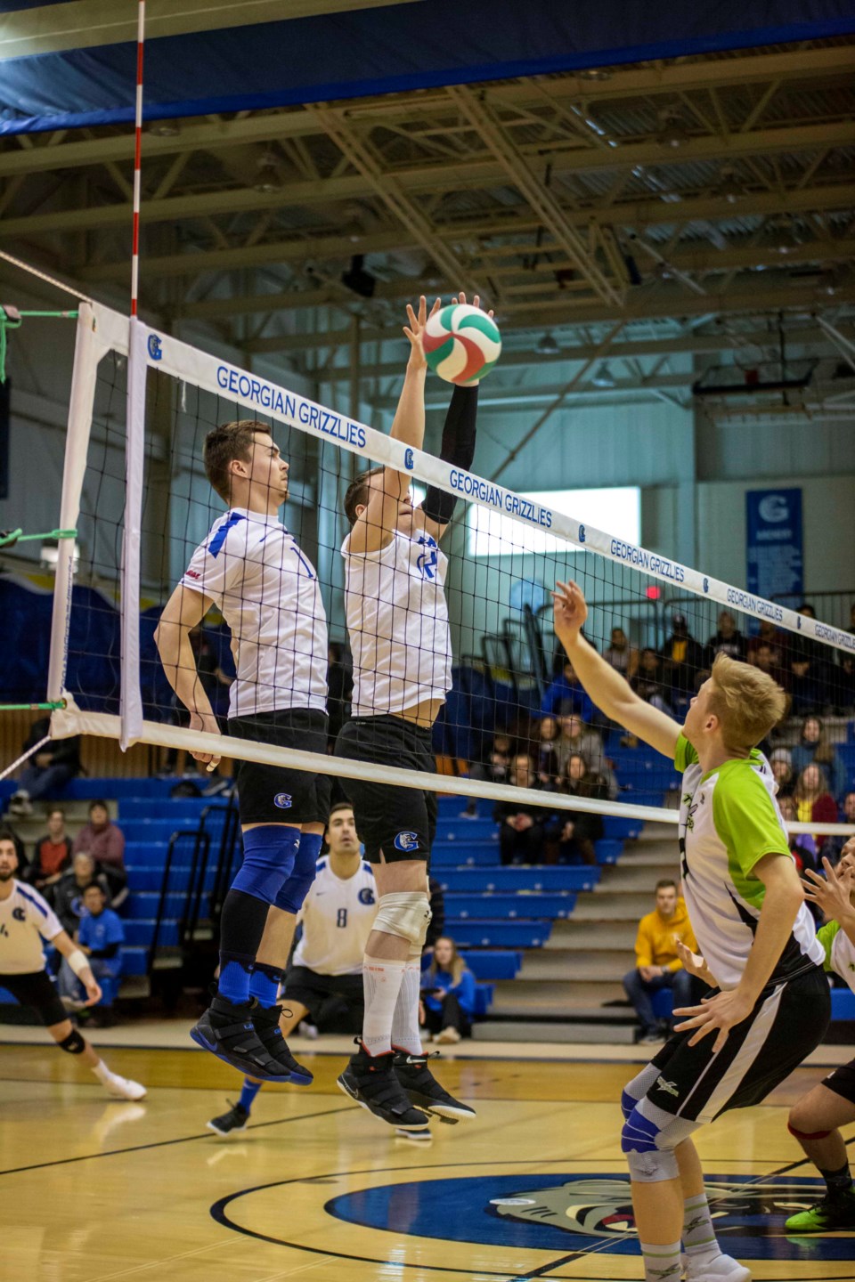 2019-02-01 Grizz men's vball