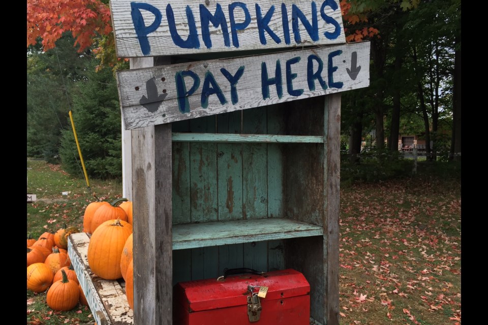 The honour system is still used at local unmanned pumpkin stands.
Sue Sgambati/BarrieToday