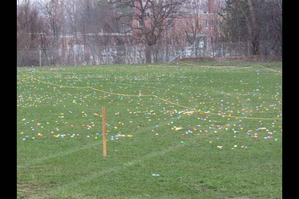 Field full of eggs. Shawn Gibson for BarrieToday.                   