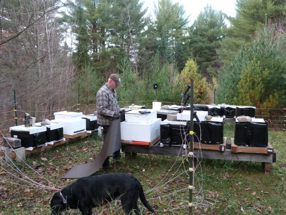 wrapping-bee-hives