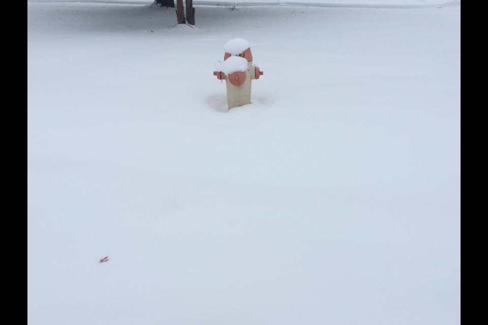 Keep fire hydrants clear of snow for easy accessibility in the event of a fire 