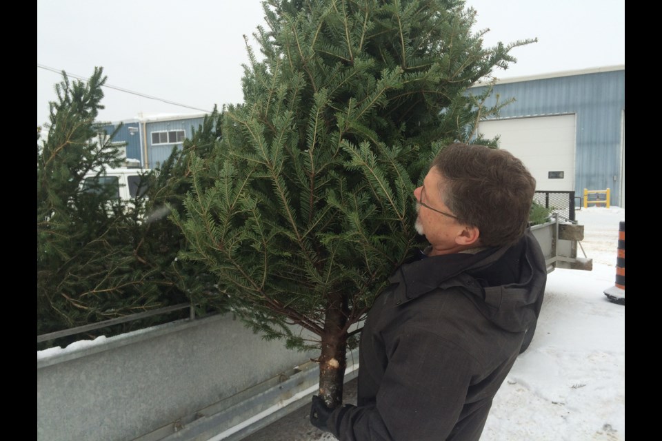 Recycle your Christmas tree for free in Blackrock this Saturday