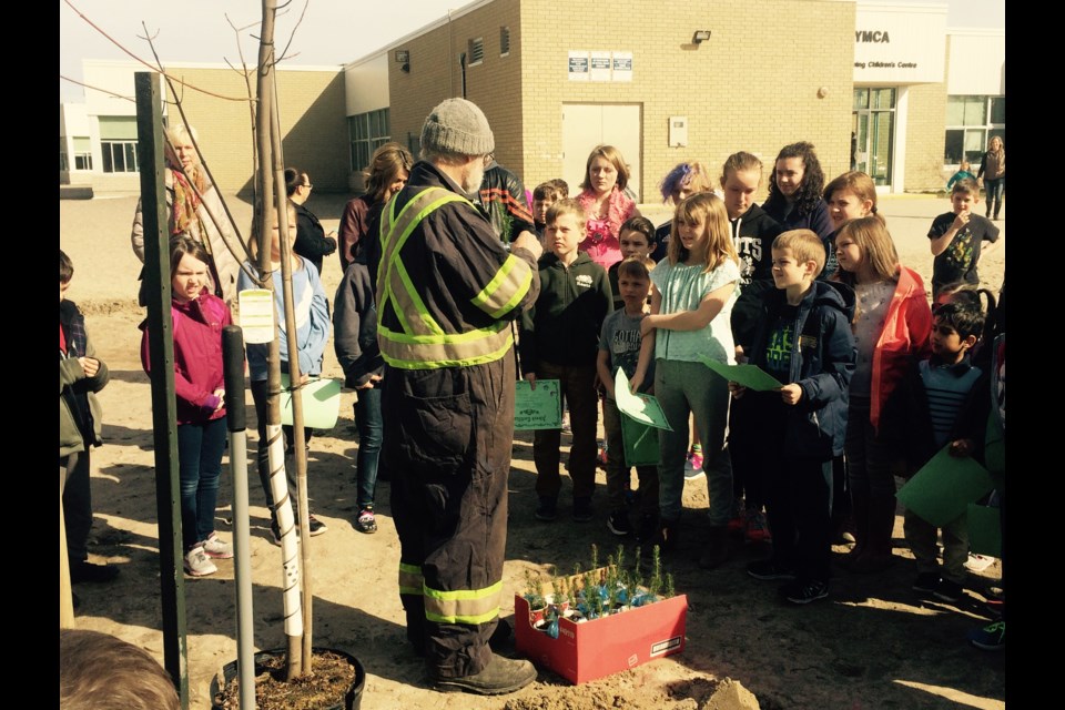 Arborist  Hal Falk goes through the tree planting process with students