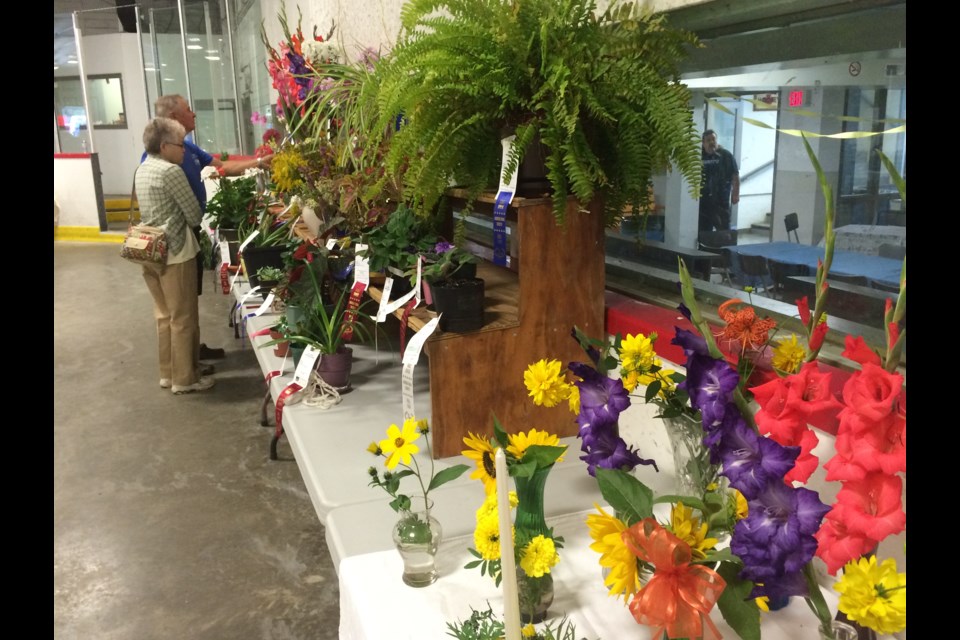 98th annual Trout Creek Fair hosted by the Trout Creek Agricultural society already eyeing its centennial celebrations