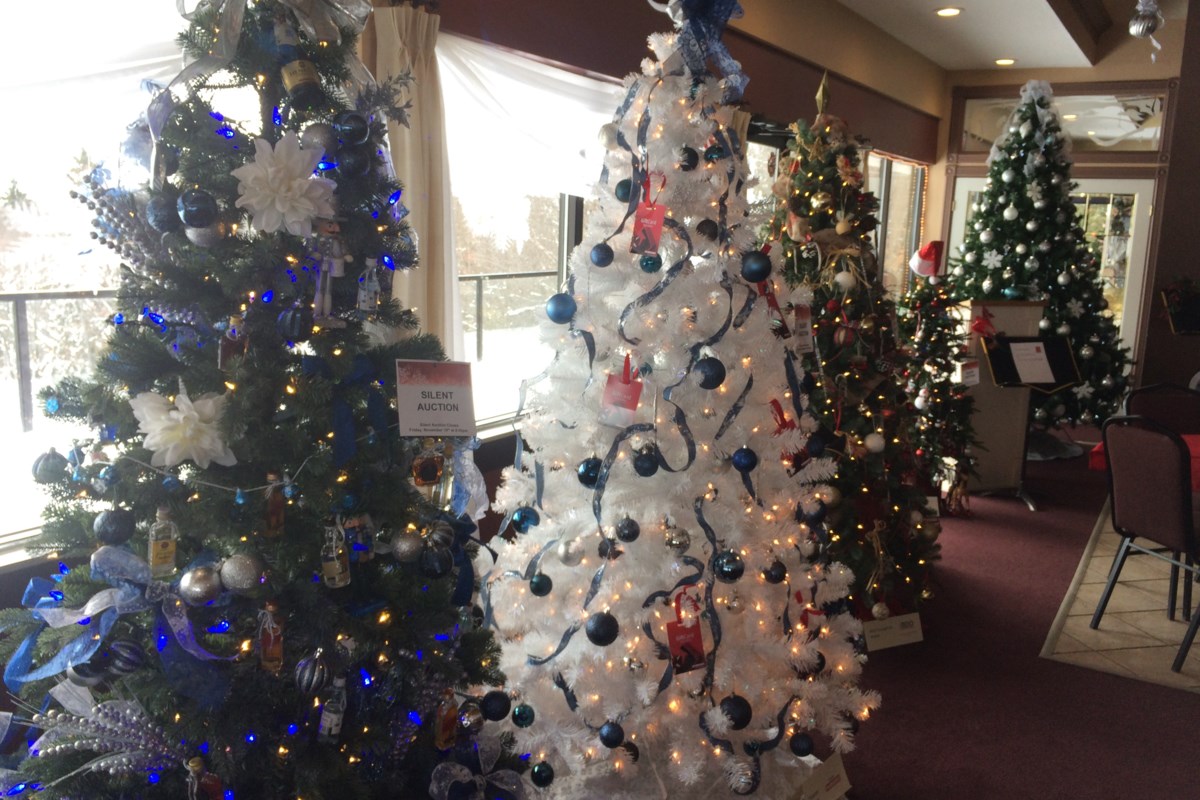 Festival of Trees raising money to support two community projects