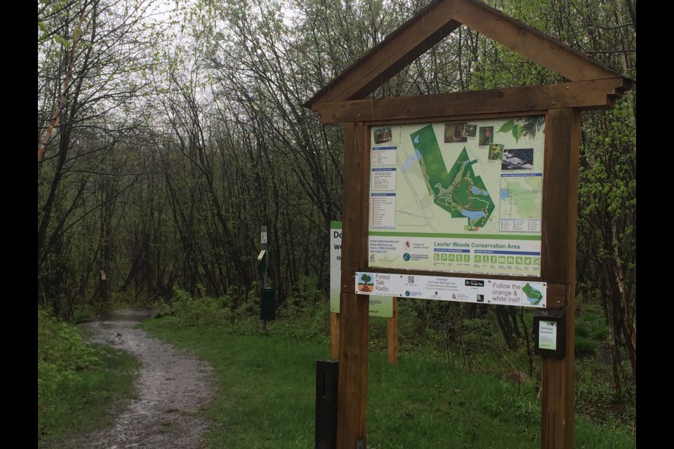 Want To Learn More About Laurier Woods While Walking The Trails