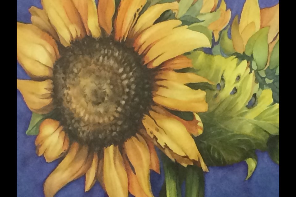 Sunflowers 
by Denise Ribson
Watercolour 