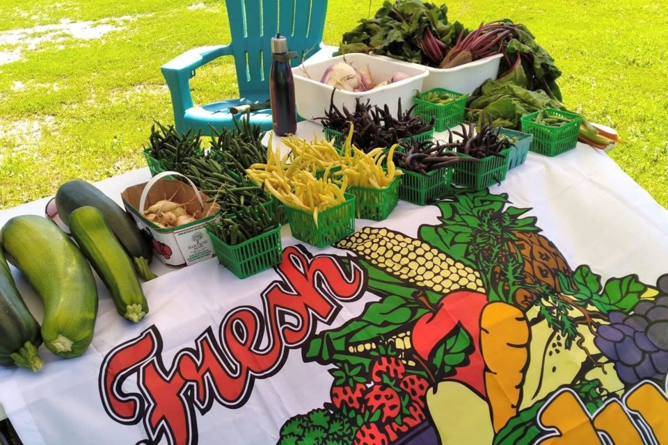 Fresh produce aplenty at one of the two farm stands operated by the Calvin Women's Association to raise funds for the community