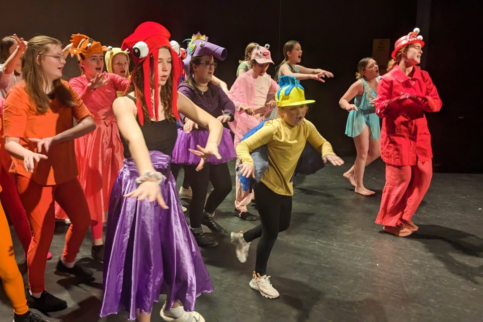 Last chance to catch Chippewa s Little Mermaid Jr. North Bay News