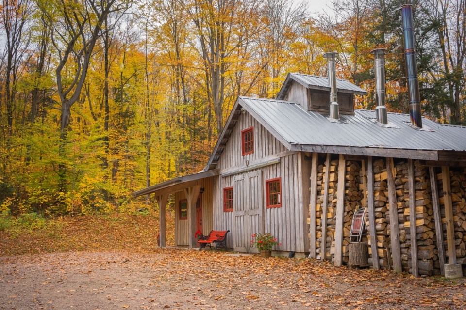 20220909 Bella Hill Maple Syrup supplied