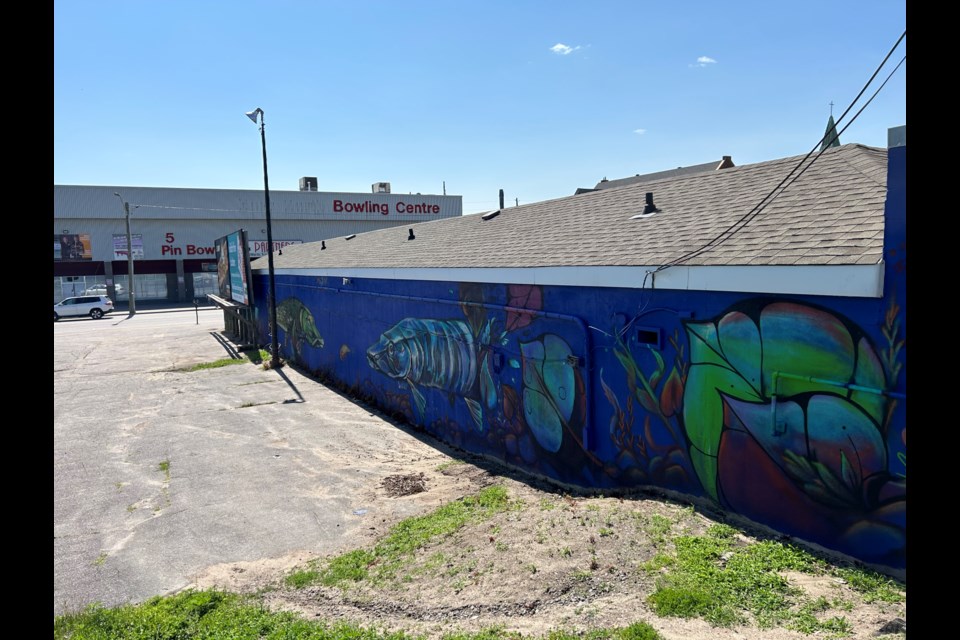 A new giant fish mural welcomes visitors to downtown North Bay.  