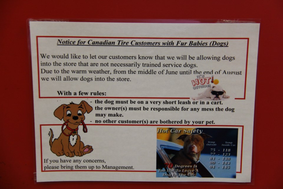 does canadian tire allow dogs inside