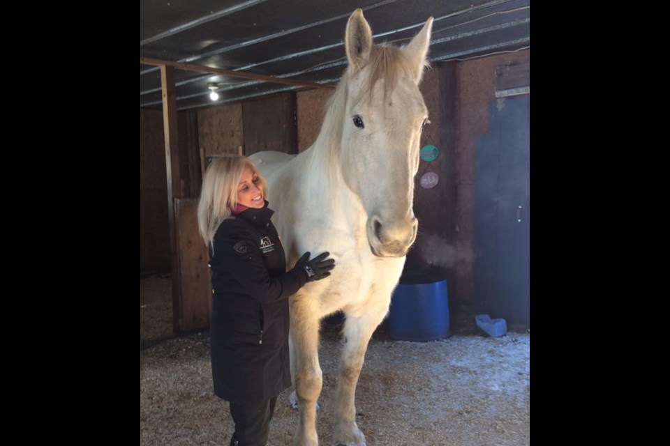 Equine Therapy training in action at Horse Ability outside of North Bay.