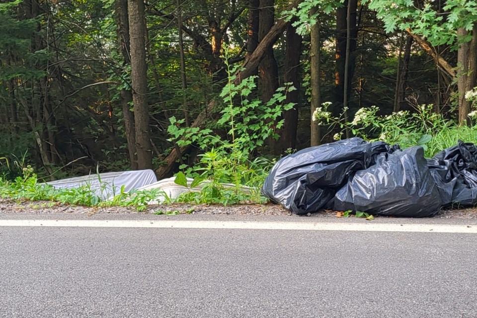 A reader sent photos in early August of illegal dumping of mattresses and garbage in the same spot along Golf Club Road between Airport Road and OBrien Street, across from Union Cemetery.