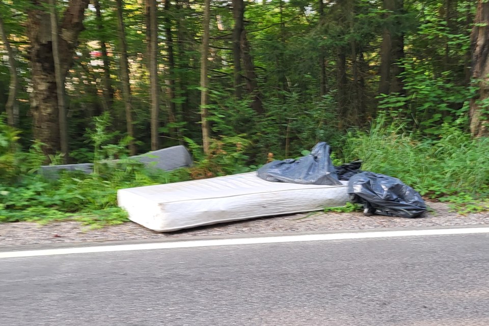 Illegal dumping of mattresses and garbage along Golf Club Road between Airport Road and OBrien Street, across from Union Cemetery.