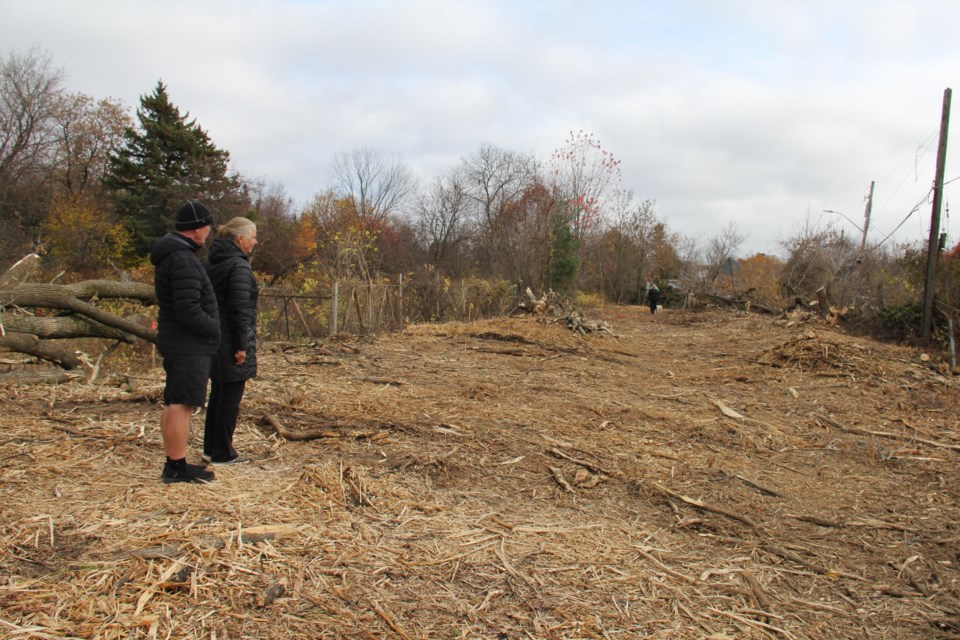 Jim Forsyth and Adelaide Saeger look over what once used to be a small forest trail beside Sweetman's Garden