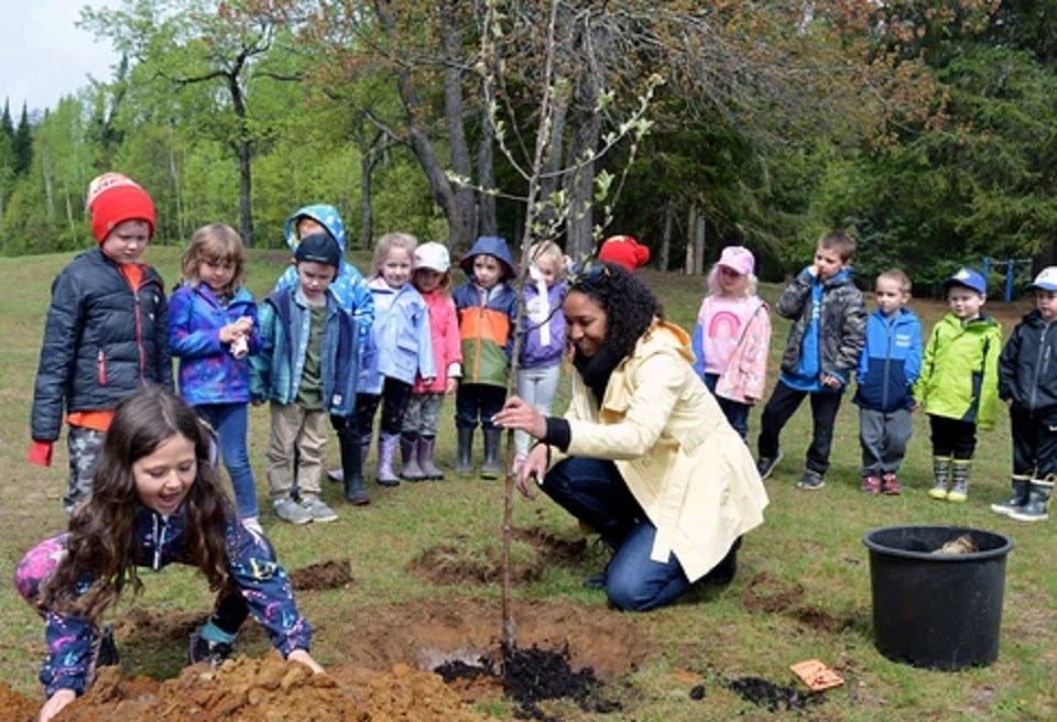 20220529 apple tree planting